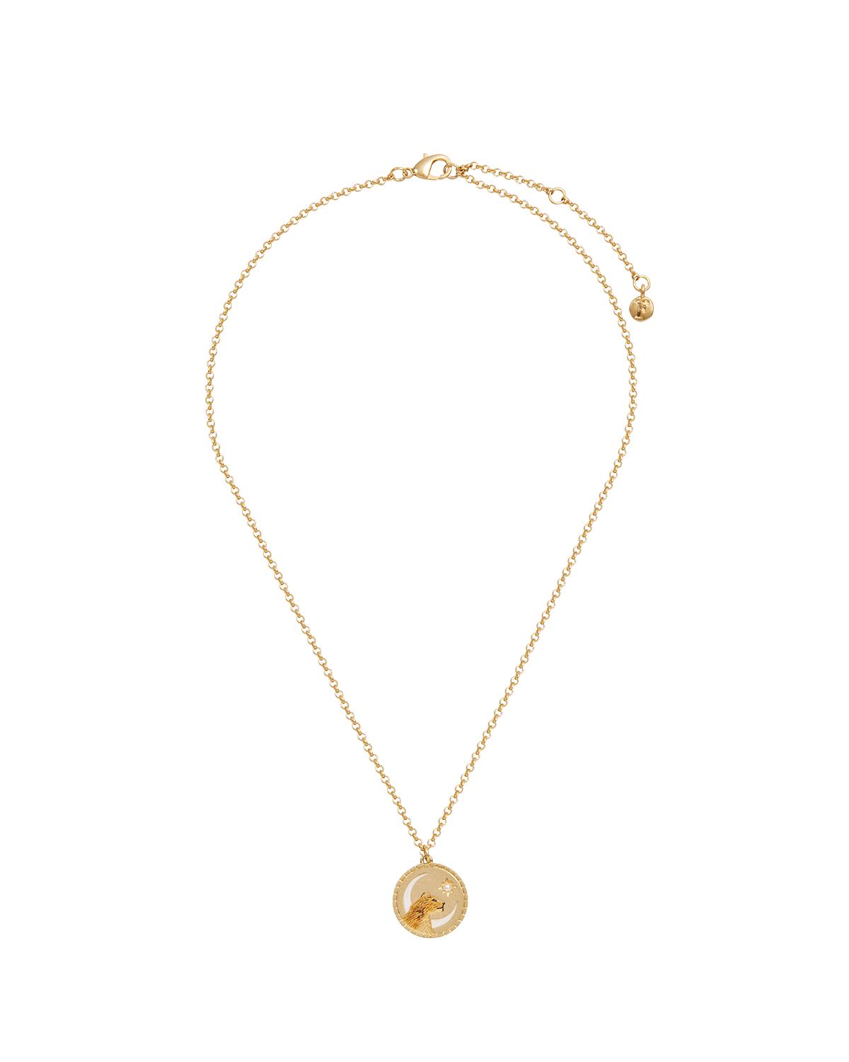Gold Lioness Spirit Guide Pendant Necklace