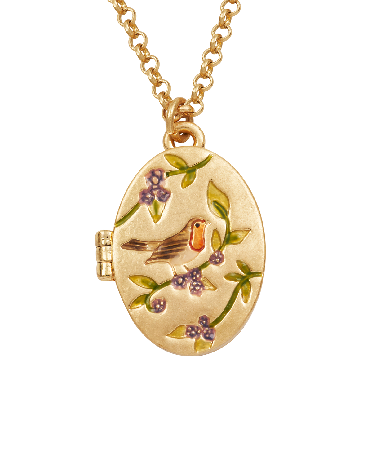 Gold Robin & Blackberry Locket Necklace