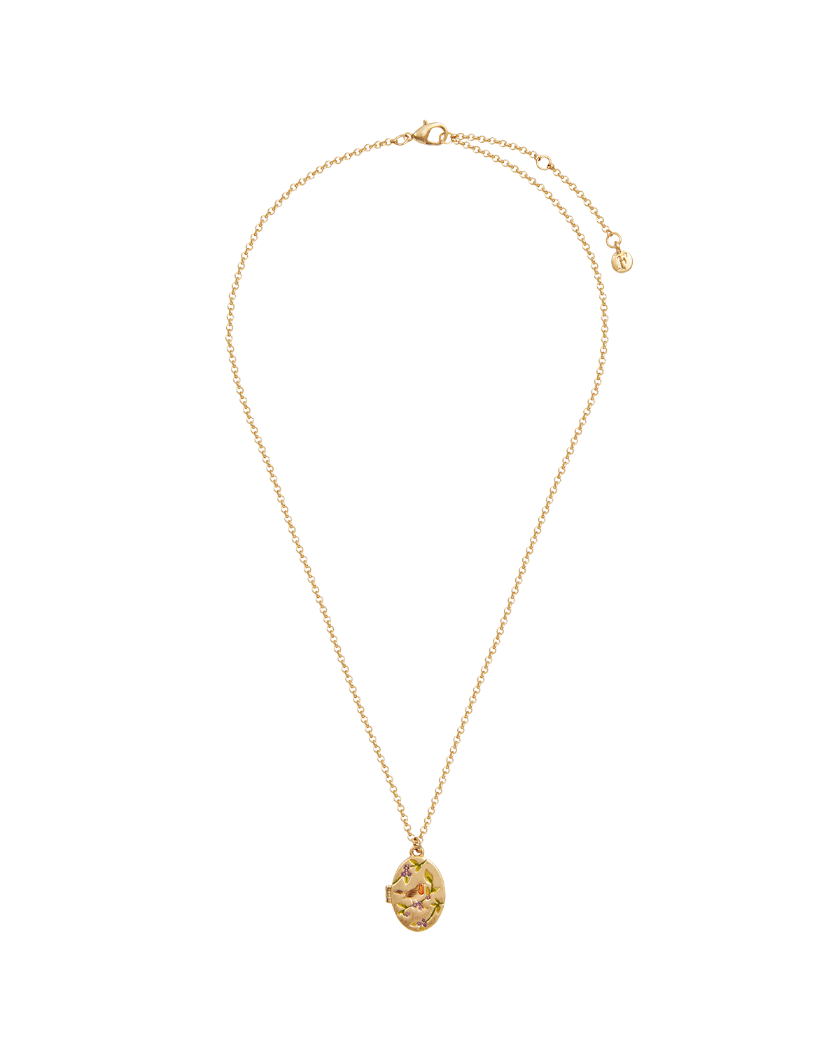 Gold Robin & Blackberry Locket Necklace