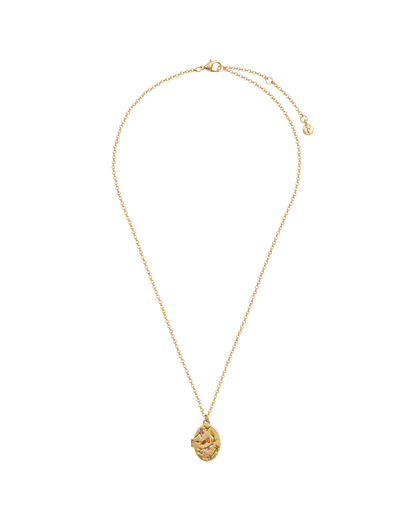 Gold Robin & Blackberry Locket Necklace