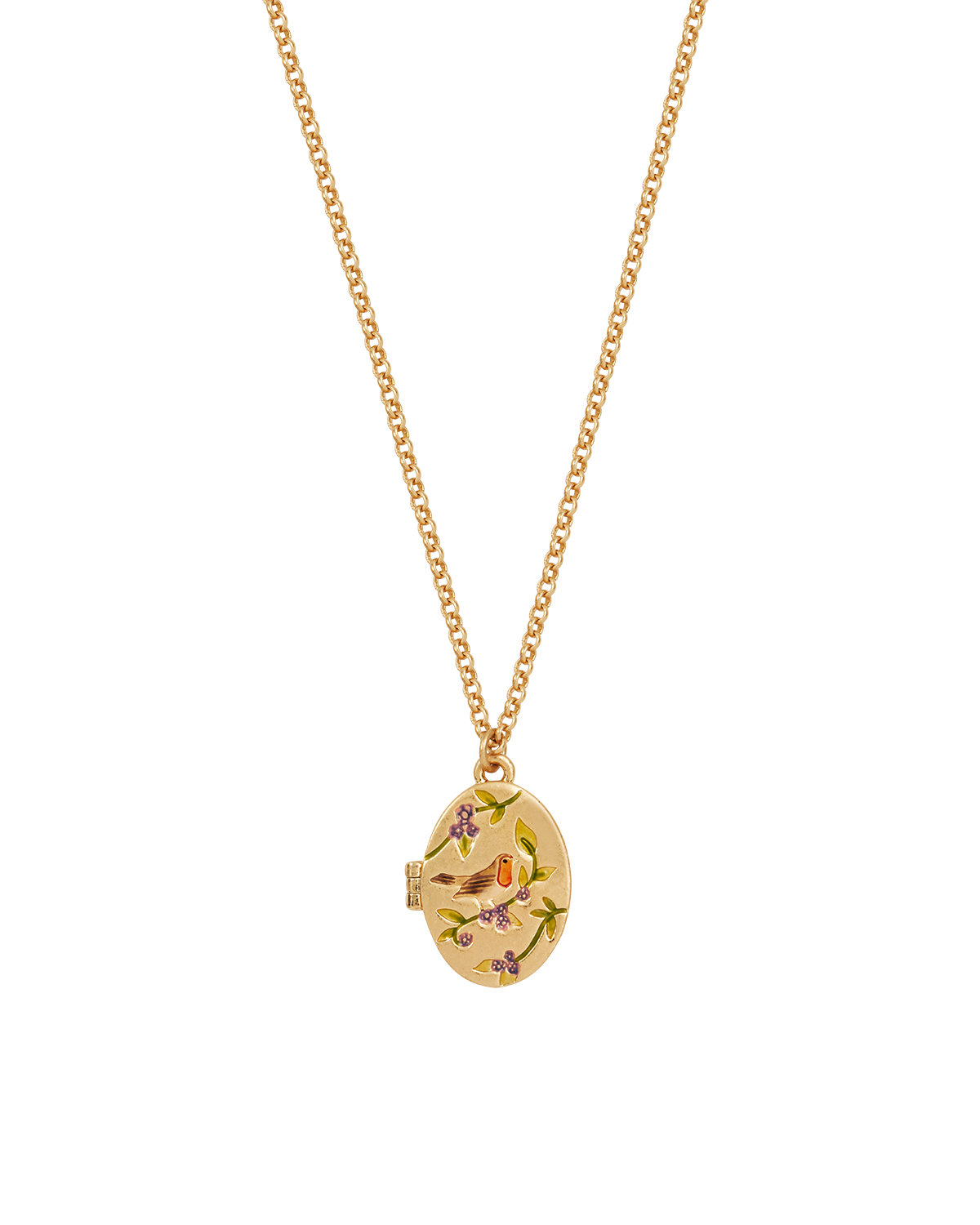 Gold Robin & Blackberry Locket Necklace