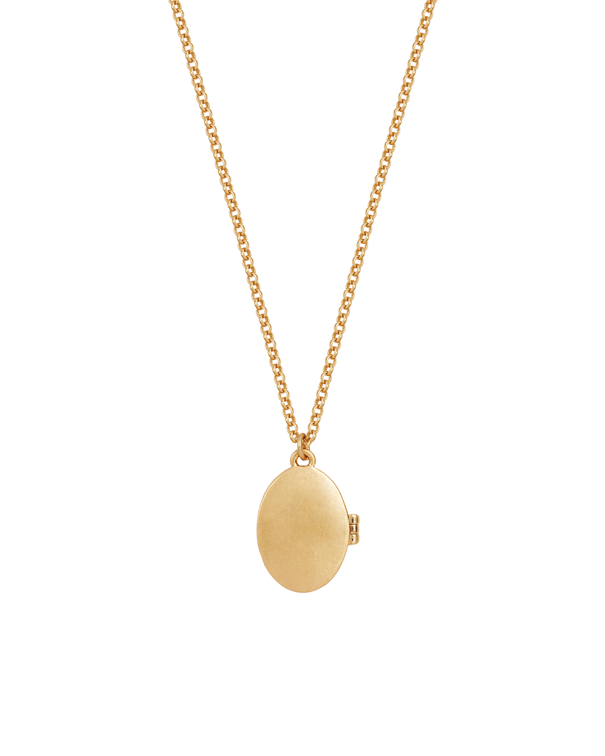 Gold Robin & Blackberry Locket Necklace