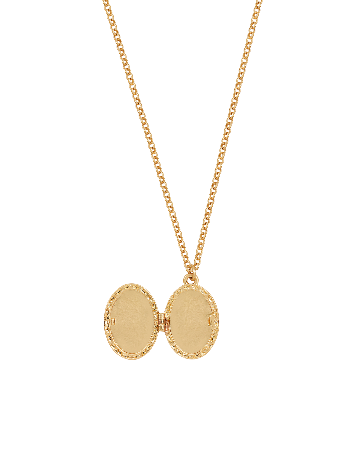 Gold Robin & Blackberry Locket Necklace