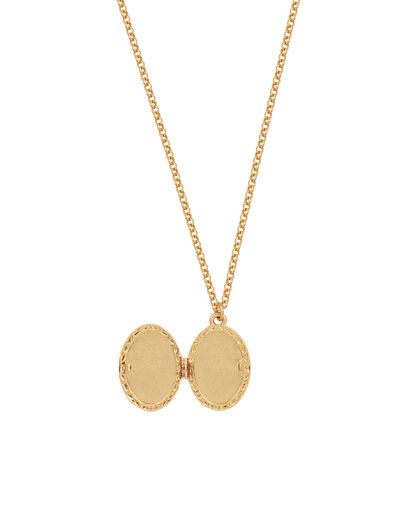 Gold Robin & Blackberry Locket Necklace
