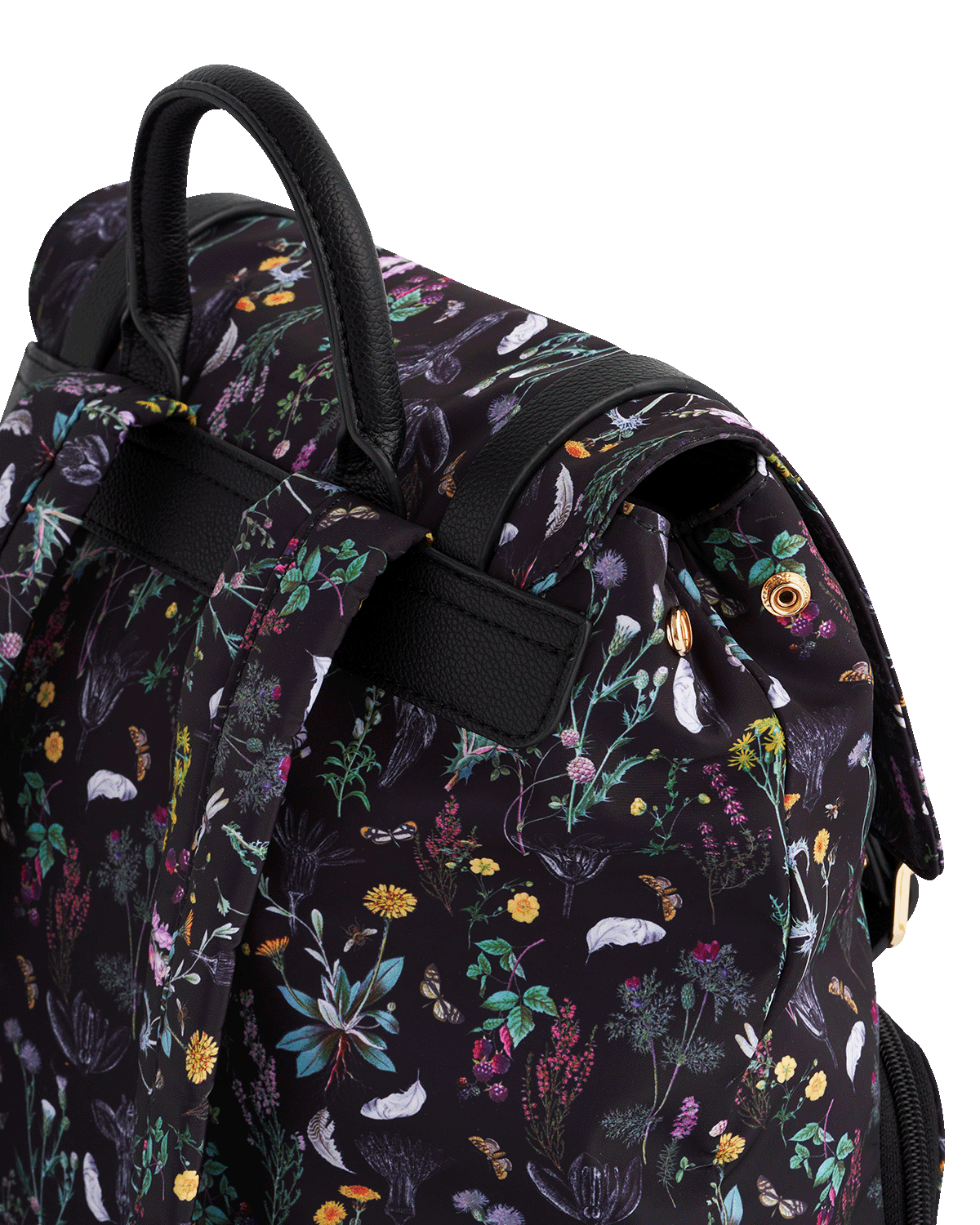 Black Wilderness Buckle Backpack