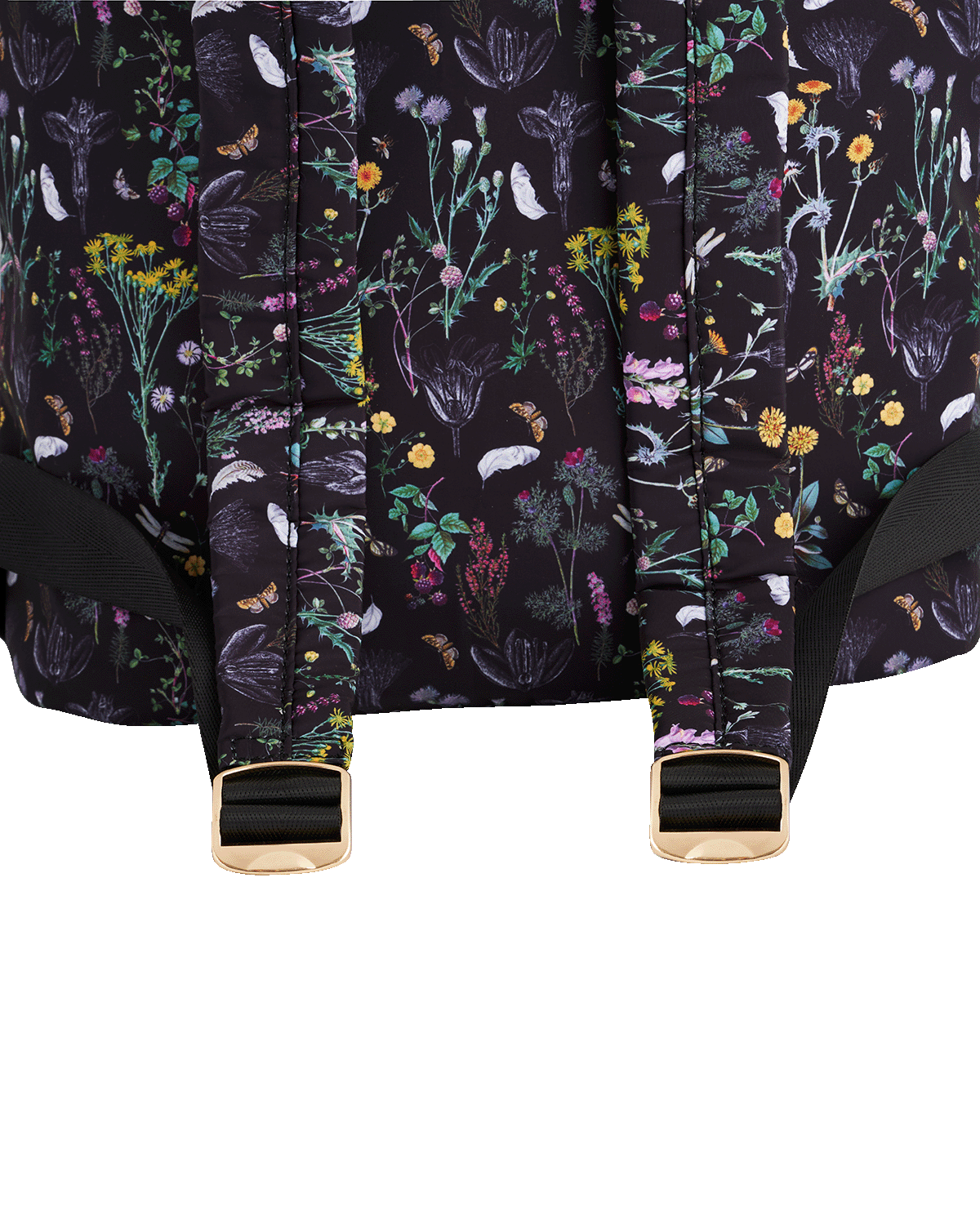 Black Wilderness Buckle Backpack